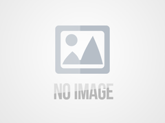 建明人类营养和健康,改善人类的生活质量